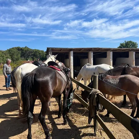 Superbe A Proximite De La De Monte Clerigo * Aljezur