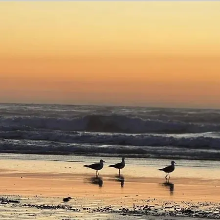 Superbe A Proximite De La De Monte Clerigo Apartament *