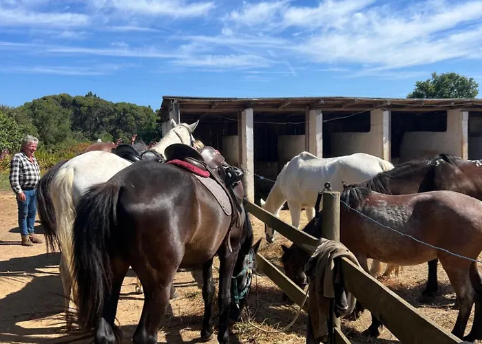 Superbe A Proximite De La De Monte Clerigo * Aljezur