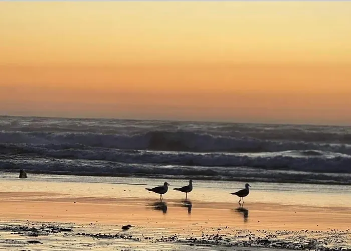 Superbe A Proximite De La De Monte Clerigo Apartament *